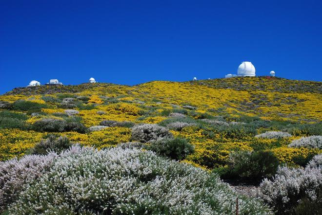 La Palma