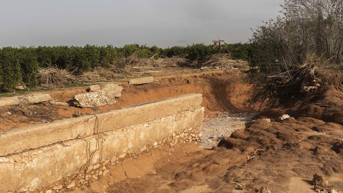 Campo afectado por la dana