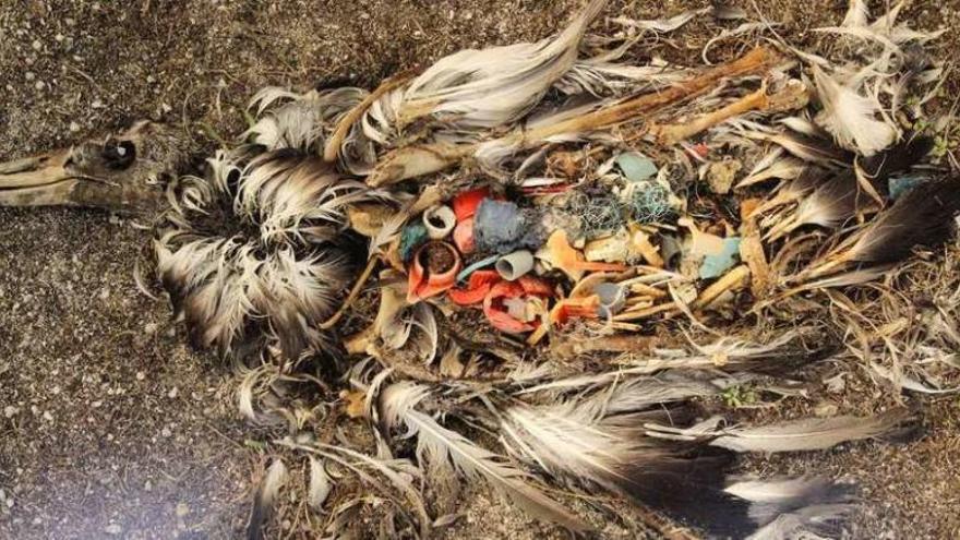 Imagen de una exposición sobre los residuos plásticos en los océanos.