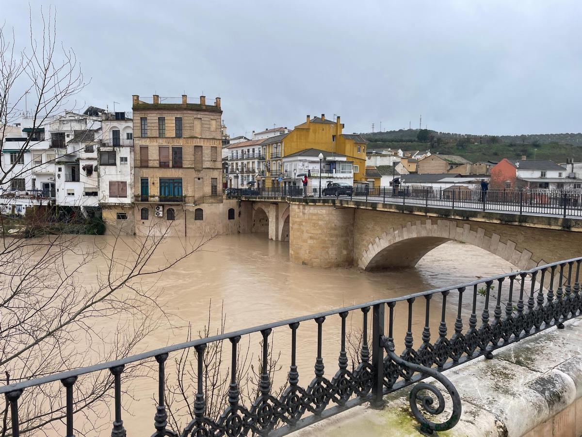Imagen del río a su paso por Puente Genil.