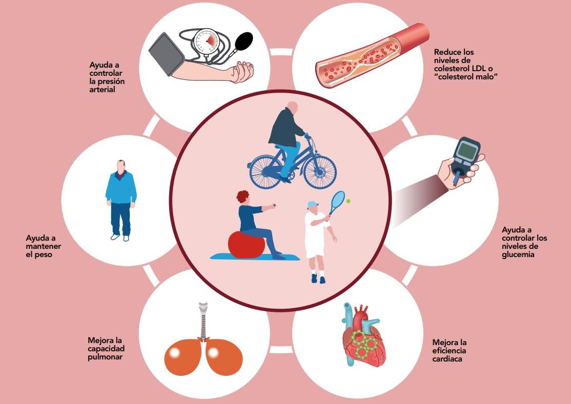 Realizar ejercicio físico de manera regular tiene efectos positivos en la salud.