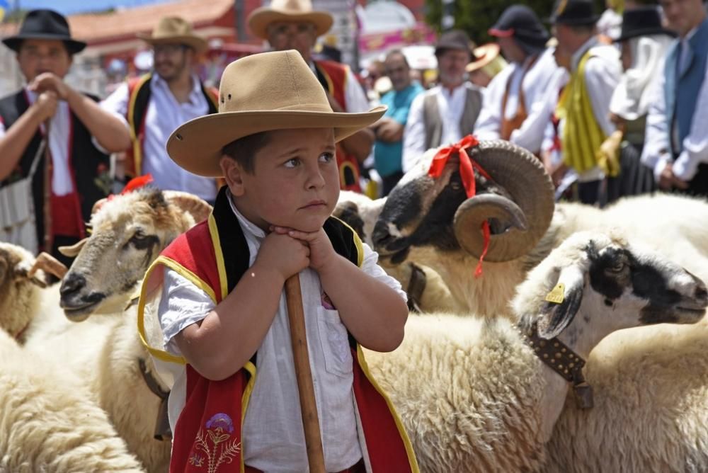 Romería en La Esperanza (El Rosario) 2019