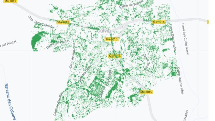 Tree Canopy ha ayudado a determinar la masa arbórea con que cuenta Calvià