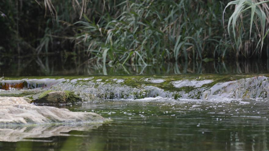 La Ribera del Marco, más cerca de su profunda transformación