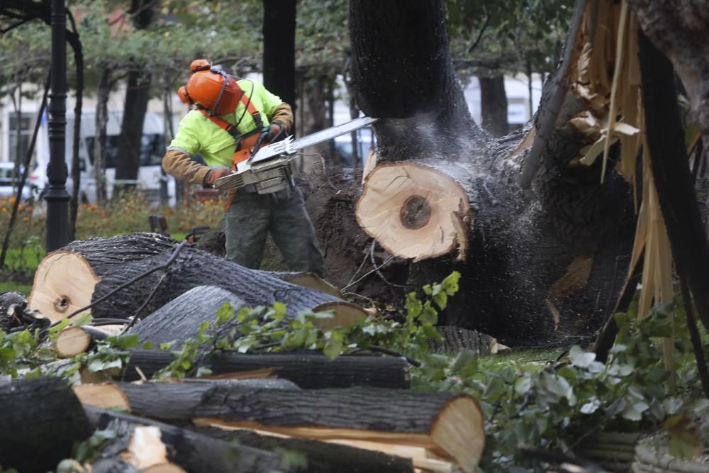 Las consecuencias de la tormenta en Avilés.