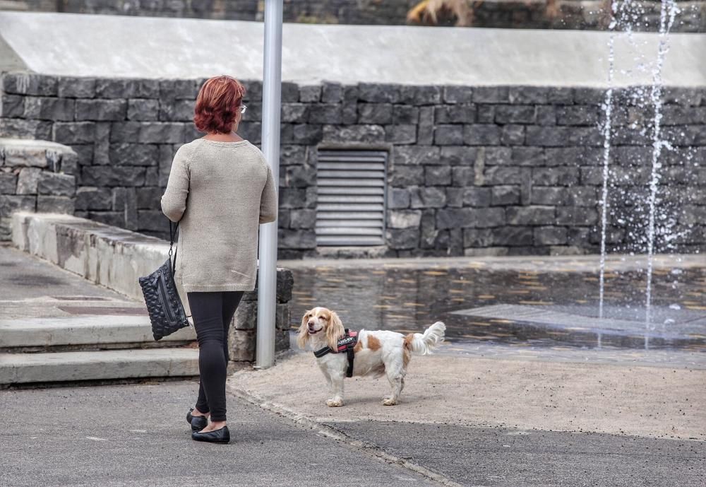 Reportaje: Gente con mascotas