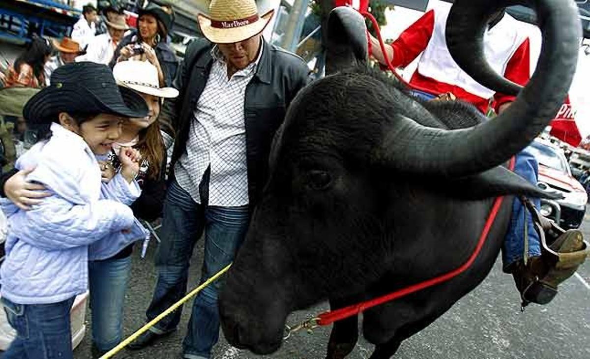 Dos nens observen un búfal en la passejada de cavalls tradicionals de cap d’any a San José (Costa Rica).