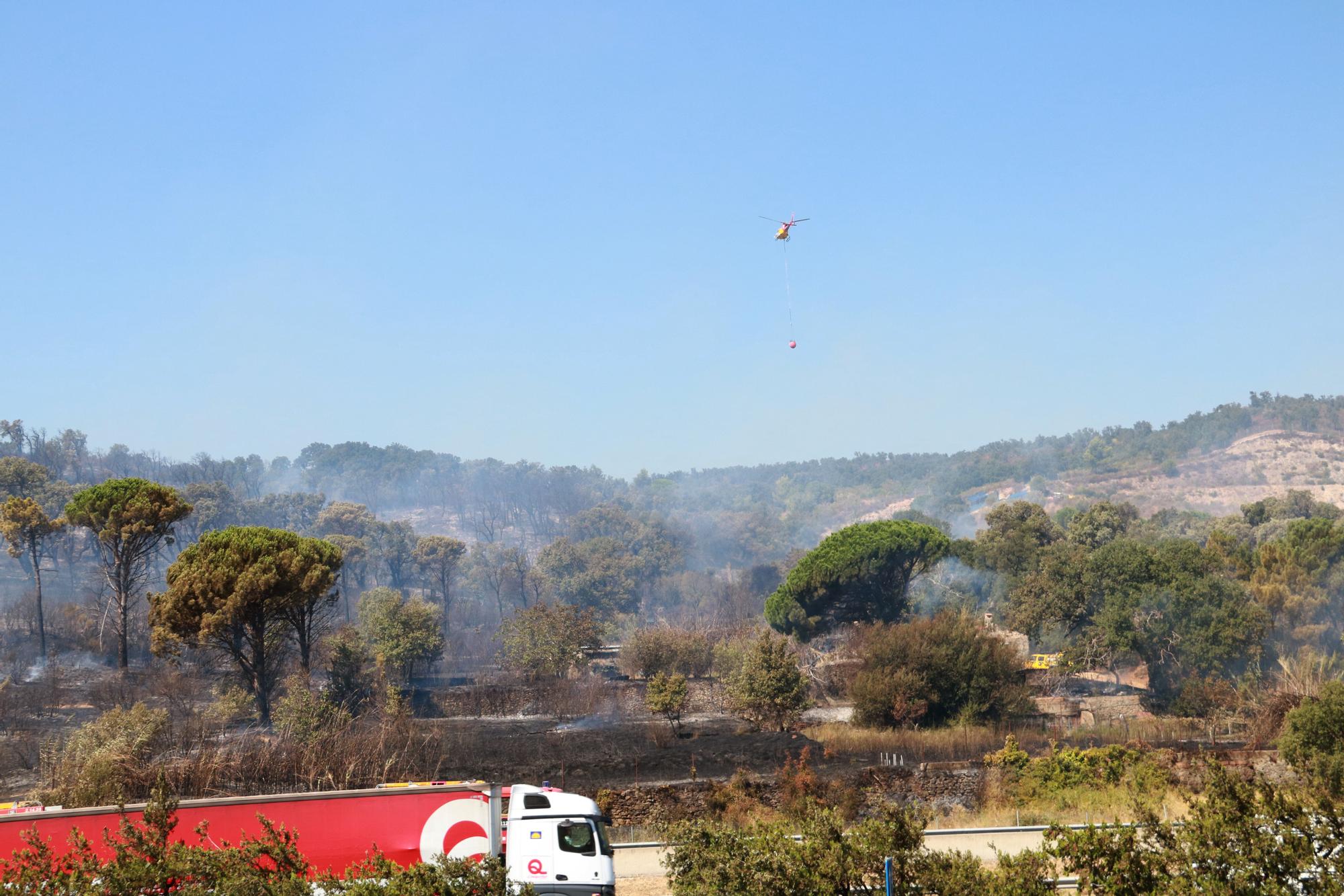 Incendi de vegetació a la Jonquera