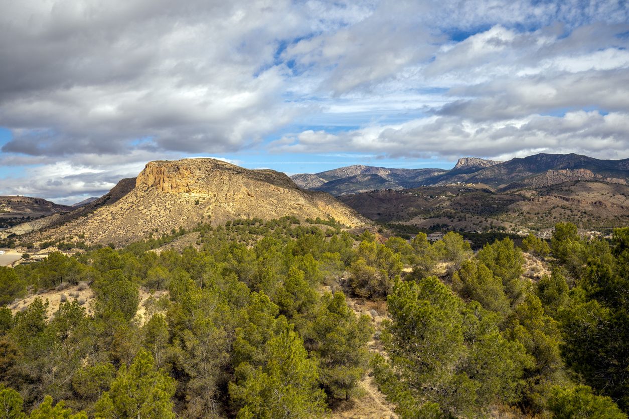 Sierra Espuña.