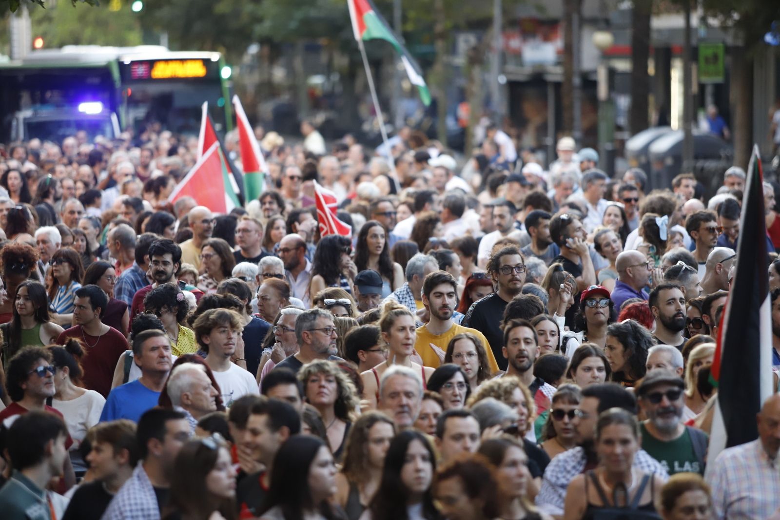 La manifestación por Palestina, en imágenes