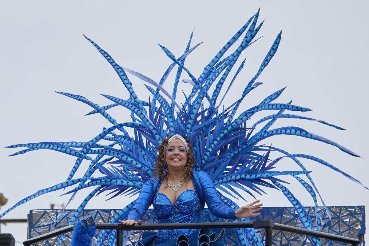 La rua del Carnaval de Santa Cristina d'Aro en imatges La rua del Carnaval de Santa Cristina d'Aro en imatges