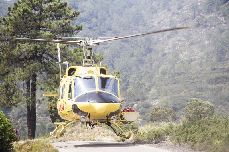 El paraje de El Surar, arrasado por el incendio