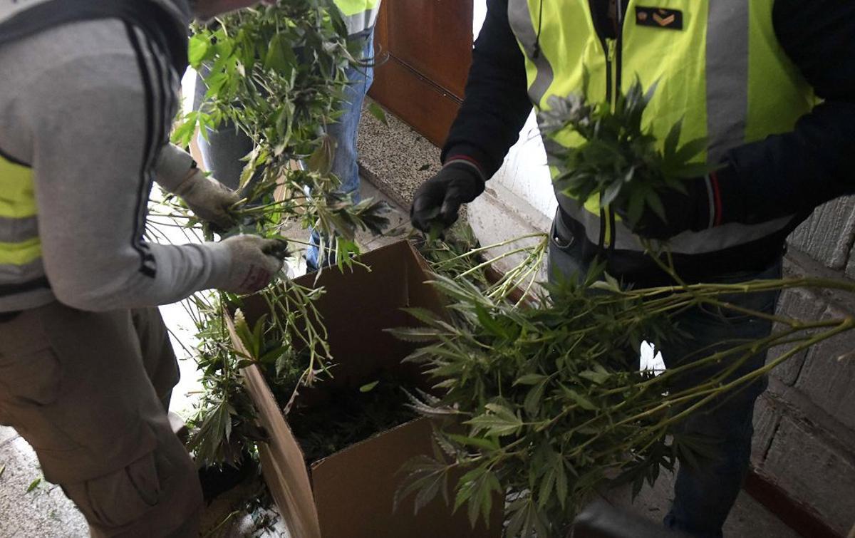 Las imágenes de la redada contra el narcotráfico en el Polígono de La Paz en Murcia Las imágenes de la redada contra el narcotráfico en el Polígono de La Paz en Murcia