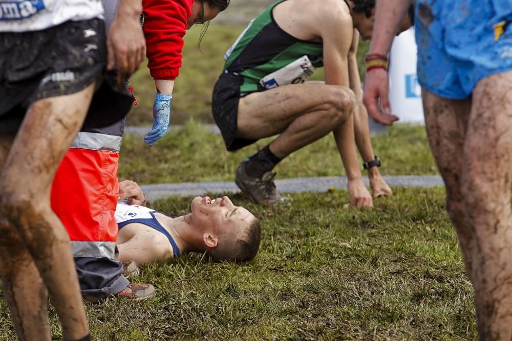 Campeonato de España de campo a través en Gijón