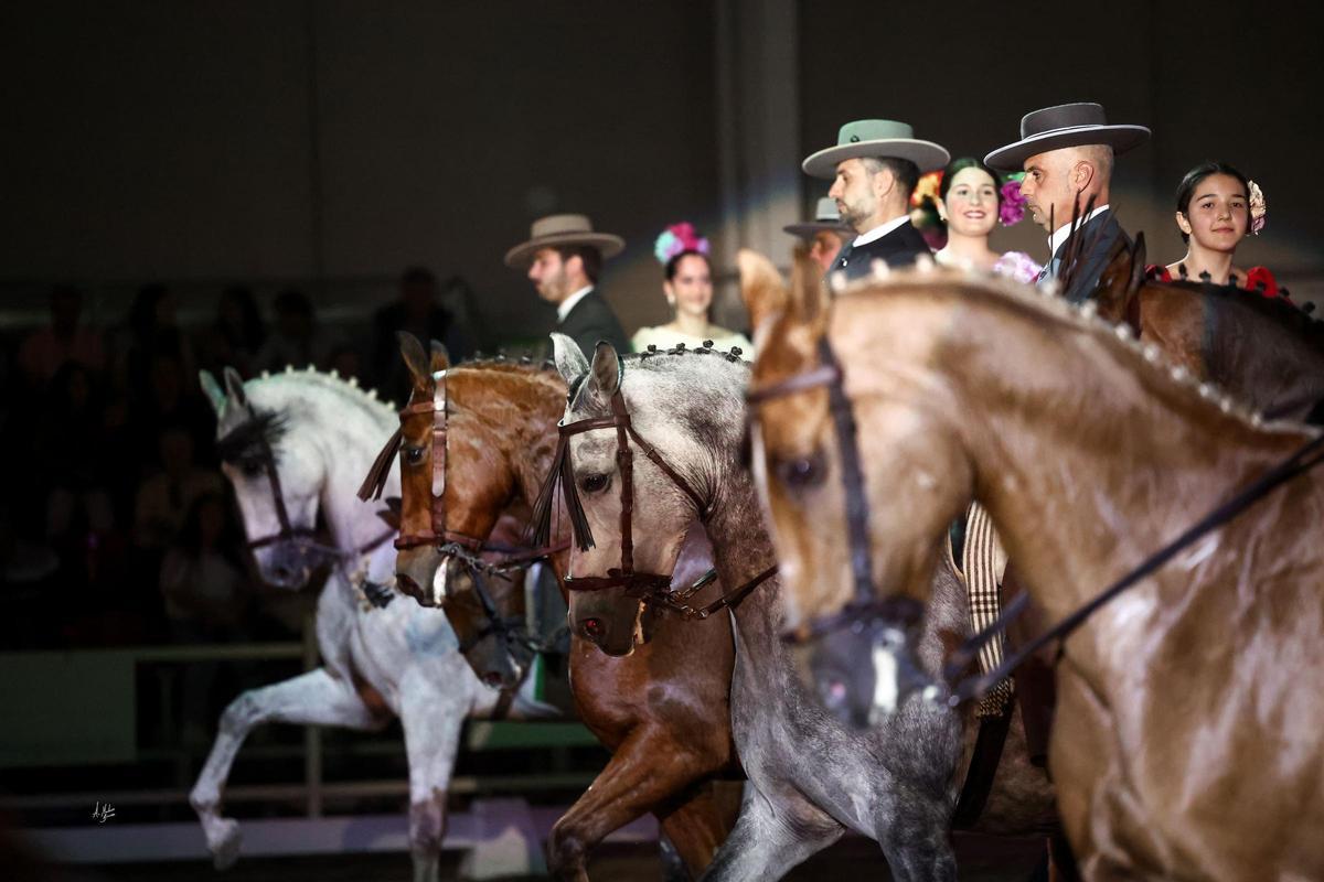 Participarán alrededor de unos 300 caballos, que se alojarán en 200 boxes y 100 corraletas.