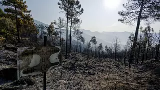 Controlado el incendio de Ávila, que baja a nivel 1
