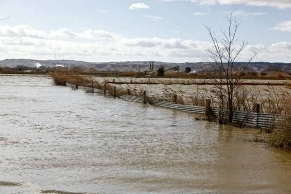 Fotogalería: La crecida del Ebro a su paso por Zaragoza