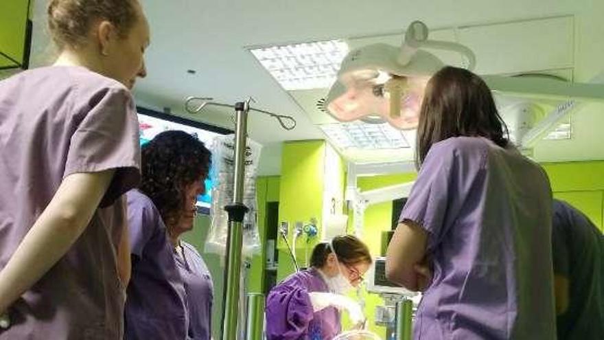 Sanitarios se forman en A Coruña sobre la detección de donantes