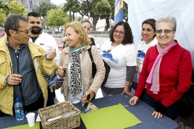 FERIA DEL NORTE