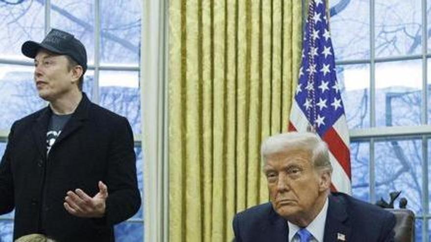 Apuesten por Trump en la guerra contra Musk