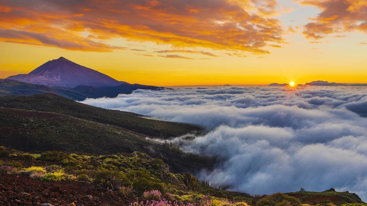 La surrealista historia de una infidelidad a una joven durante sus vacaciones en Tenerife