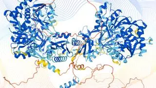 Publicada la base de datos más grande hasta la fecha para entender las proteínas del cuerpo humano