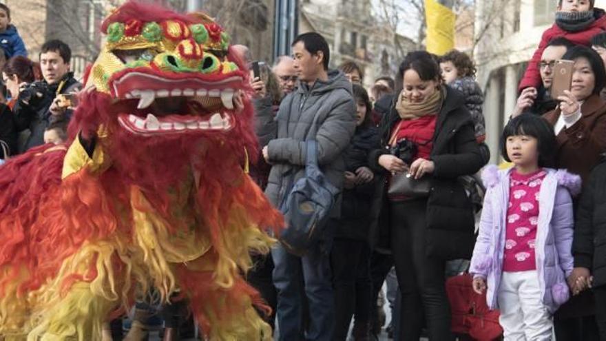 Ball de lleons que va donar el tret de sortida, a la plaça de Sant Domènec, de la celebració de la festa del fanalet ahir a la tarda