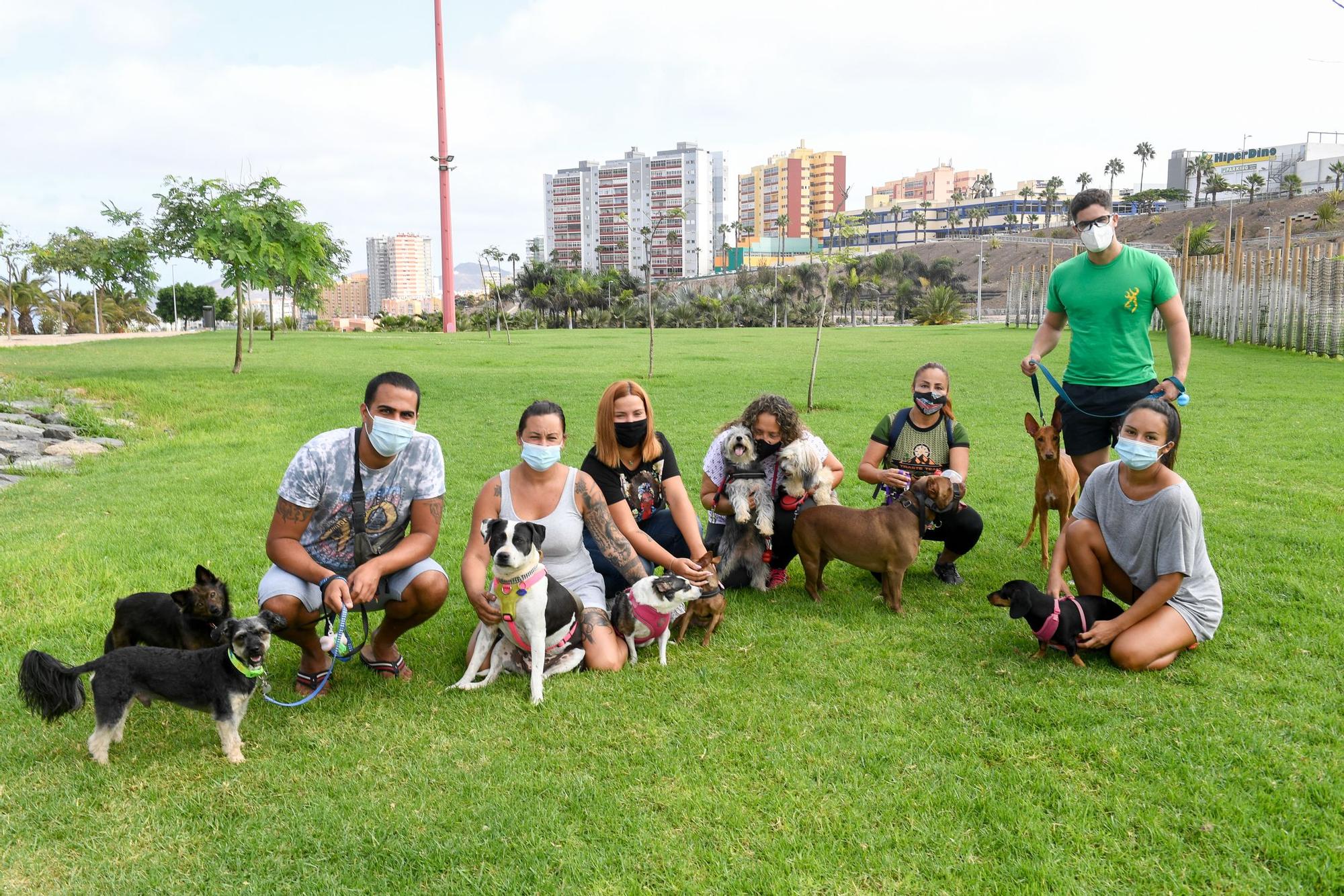 Jornada de domingo en el parque de La Ballena