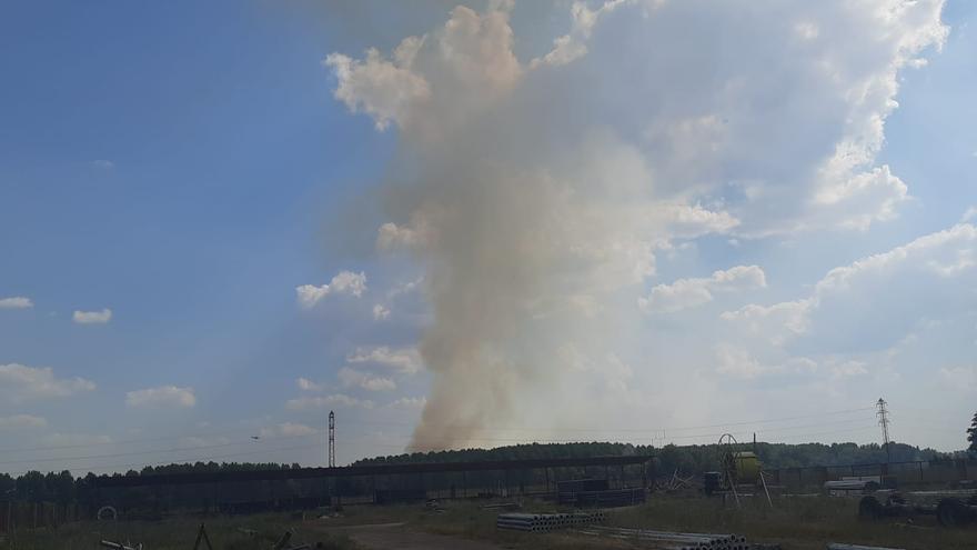 VIDEO | Reactivado el incendio del Plantío Viejo en Villaralbo