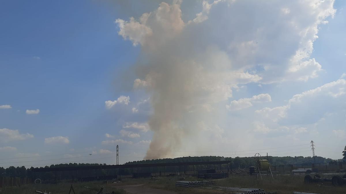 VIDEO | Reactivado el incendio del Plantío Viejo en Villaralbo