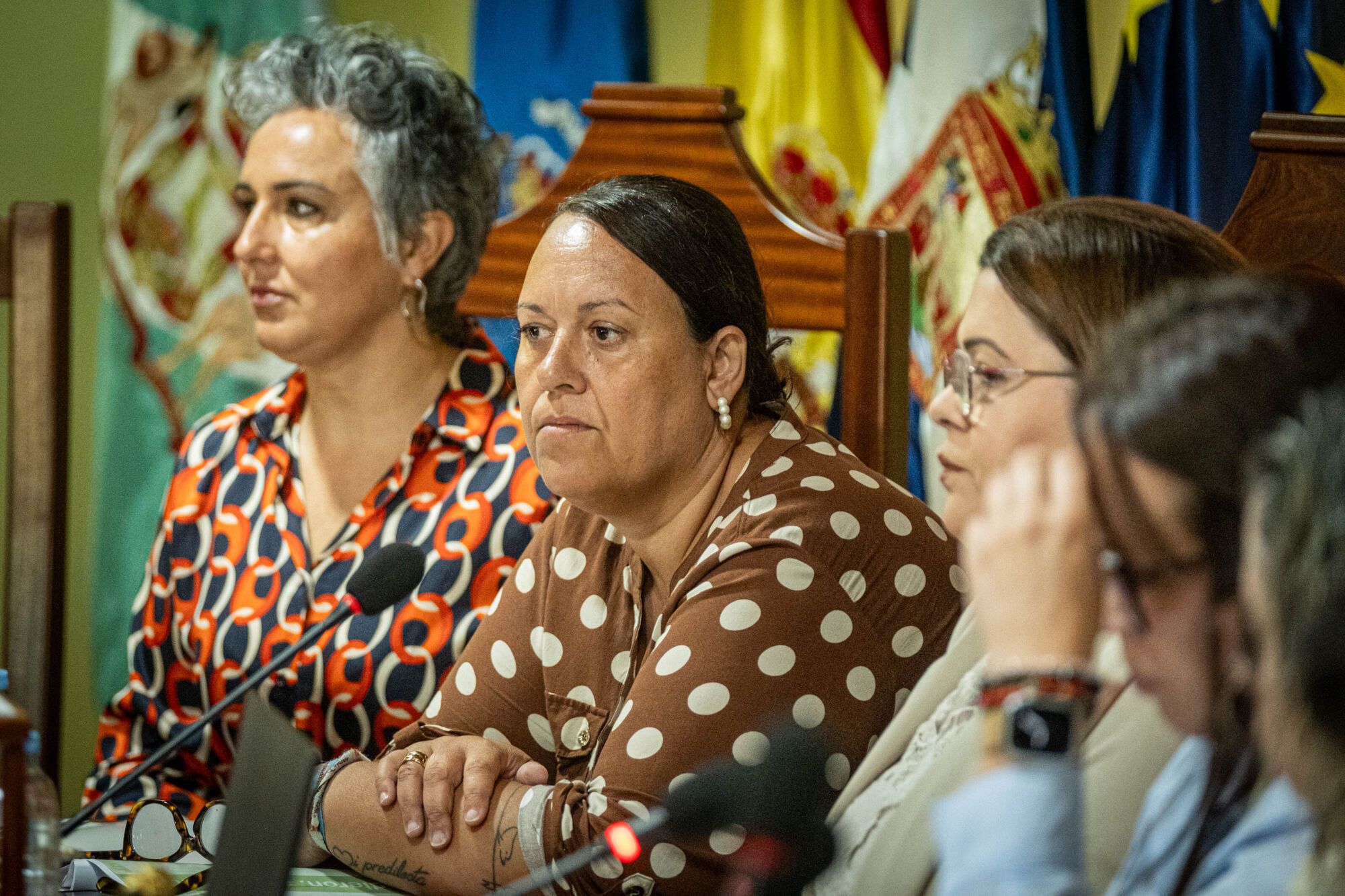 El pleno de La Guancha elige a Alejandro Herrera como nuevo alcalde del municipio.
