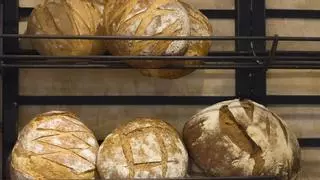 Adiós al pan integral: las razones por las que los expertos desaconsejan su consumo