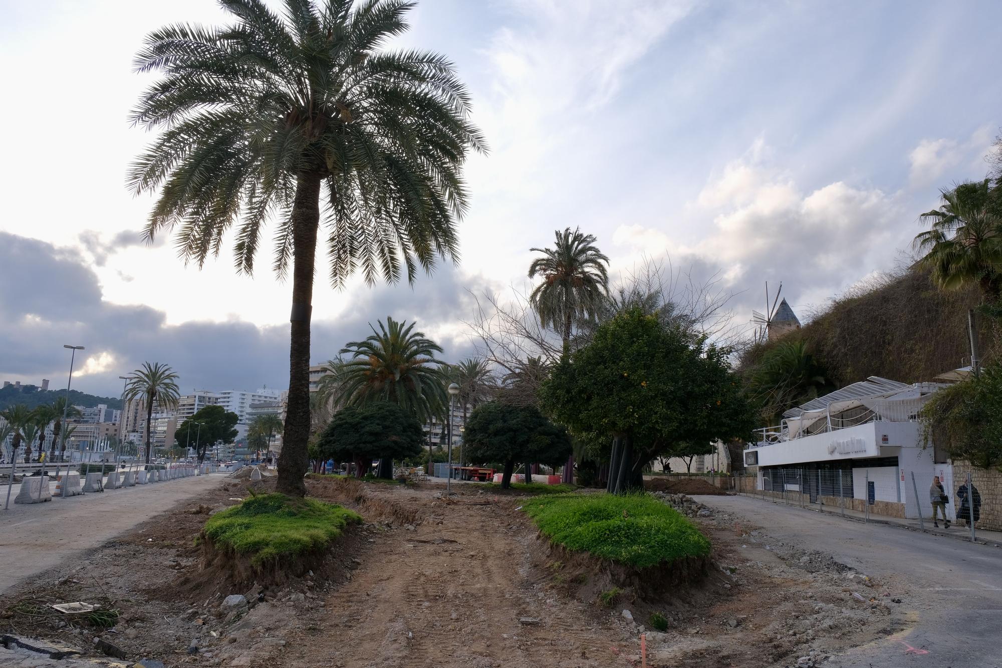 Las fotos de la evolución de obras del Paseo Marítimo de Palma después de tres meses de trabajos