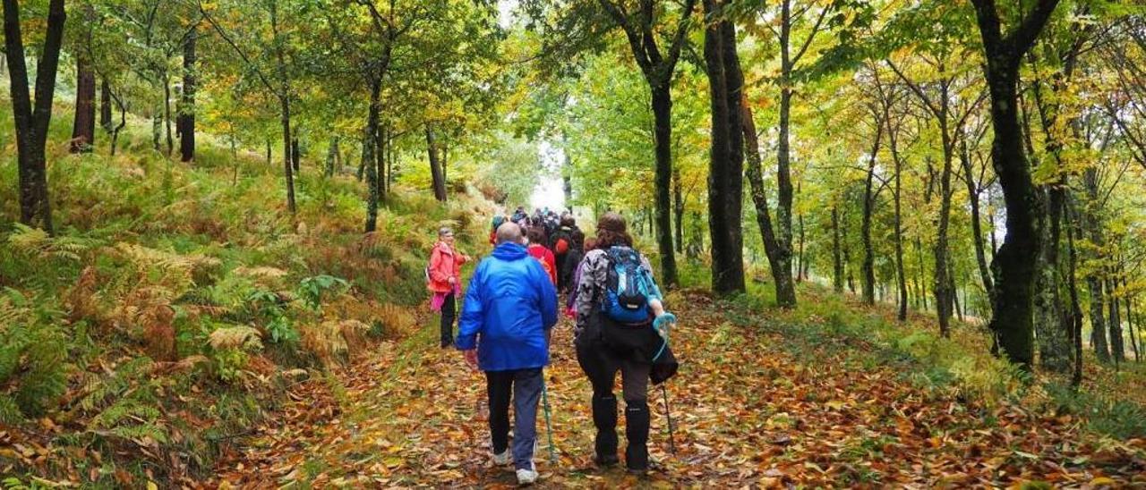 Participantes en uno de las rutas de senderismo del programa &quot;Vigo, camiño a camiño&quot;. // Concello de Vigo