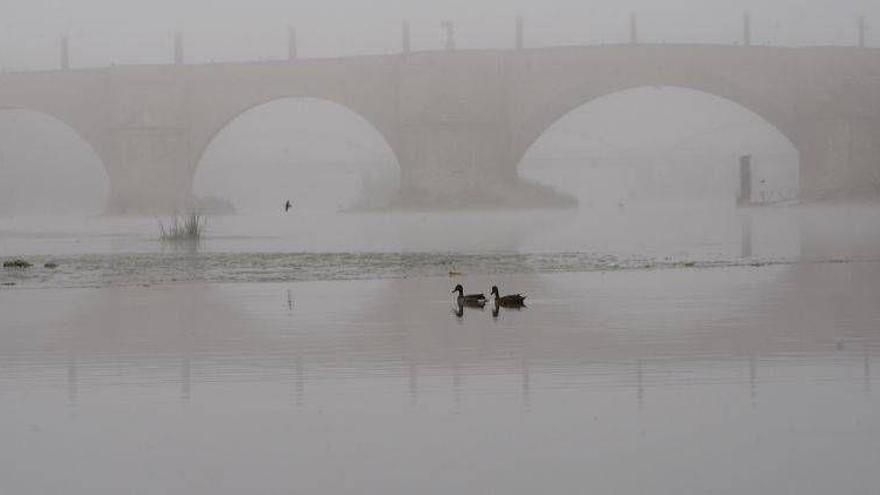 Nieblas en la zona oriental de la ribera del Ebro y en la mitad sur de Huesca