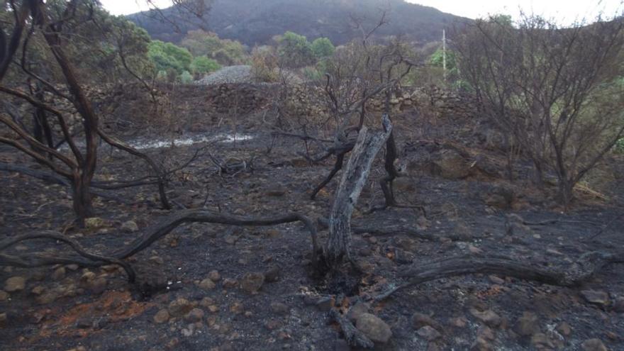 Incendio en Gran Canaria | Cuarto día del fuego