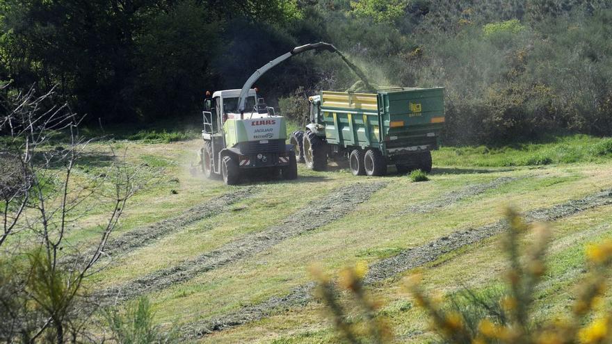 Rebaja del 25% en el IRPF a 48.000 trabajadores del campo en Galicia por la guerra de Ucrania y la sequía