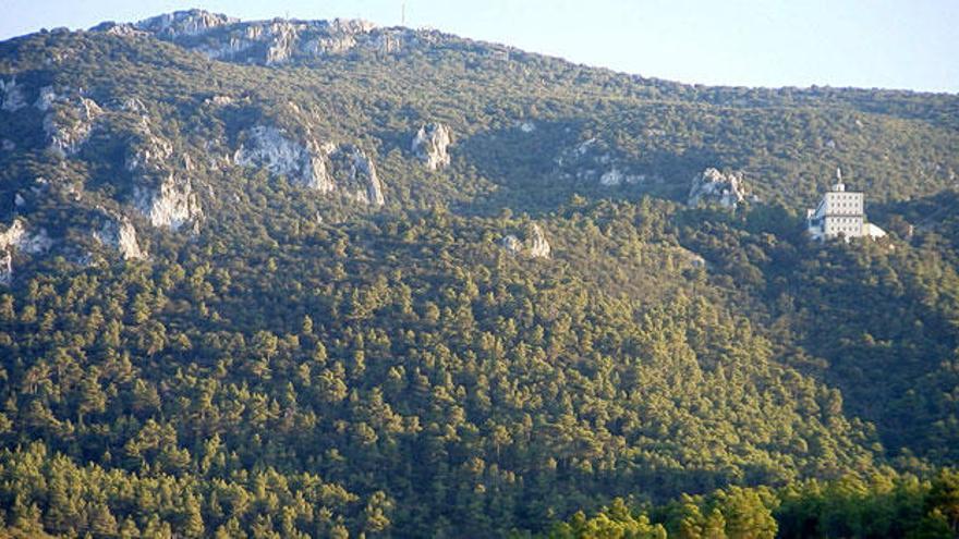 La Estación Científica Font Roja Natura de la UA trabaja en los estudios de flora, vegetación y ecología de la zona.