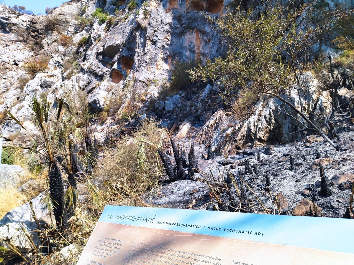 La vegetación del abrigo prehistórico ha quedado carbonizada