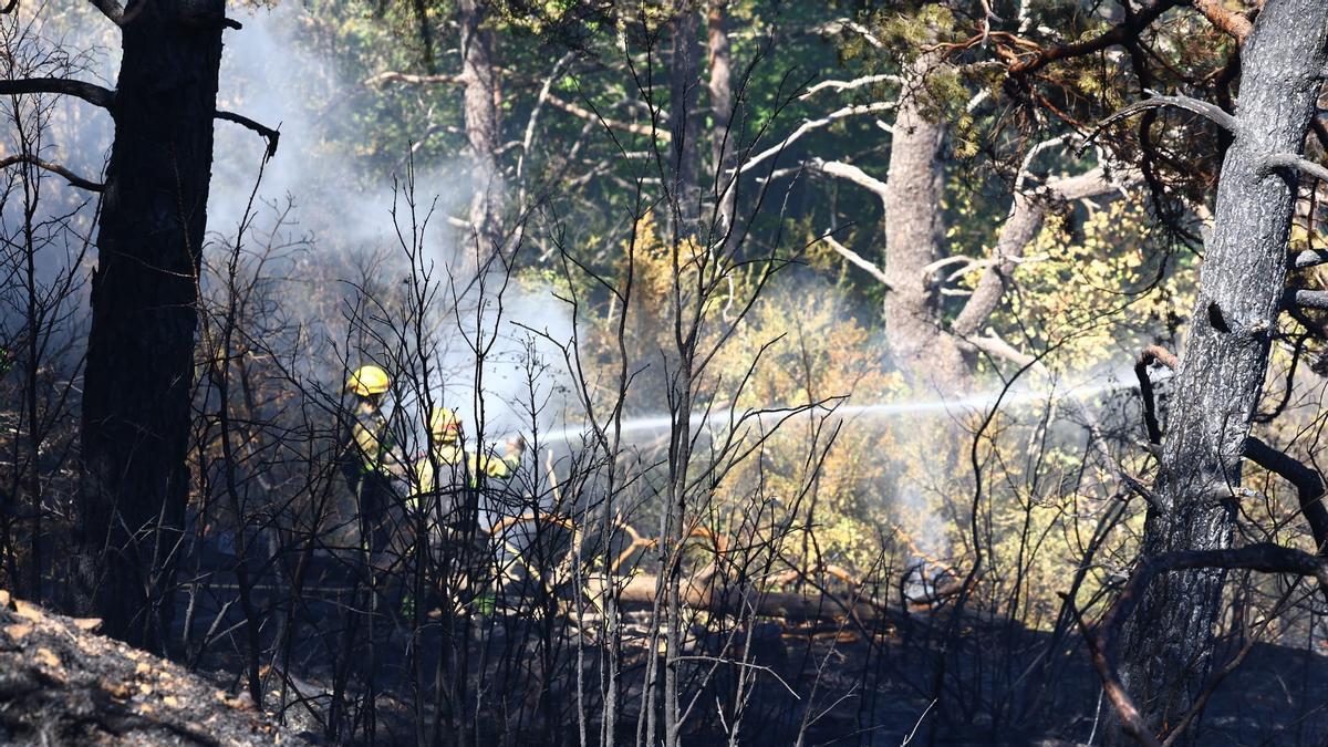 Los bomberos forestales trabajando en el entorno de San Juan de la Peña, este martes.