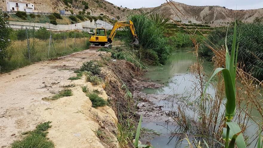 Trabajos de la CHS en el cauce del río Segura en Ulea.