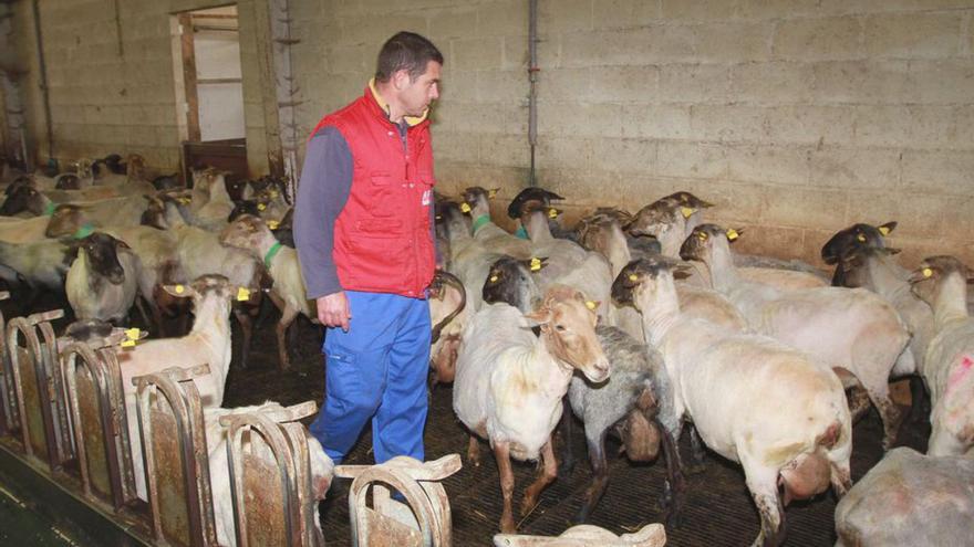 Movilizan tierras abandonadas en Allariz para el emprendimiento