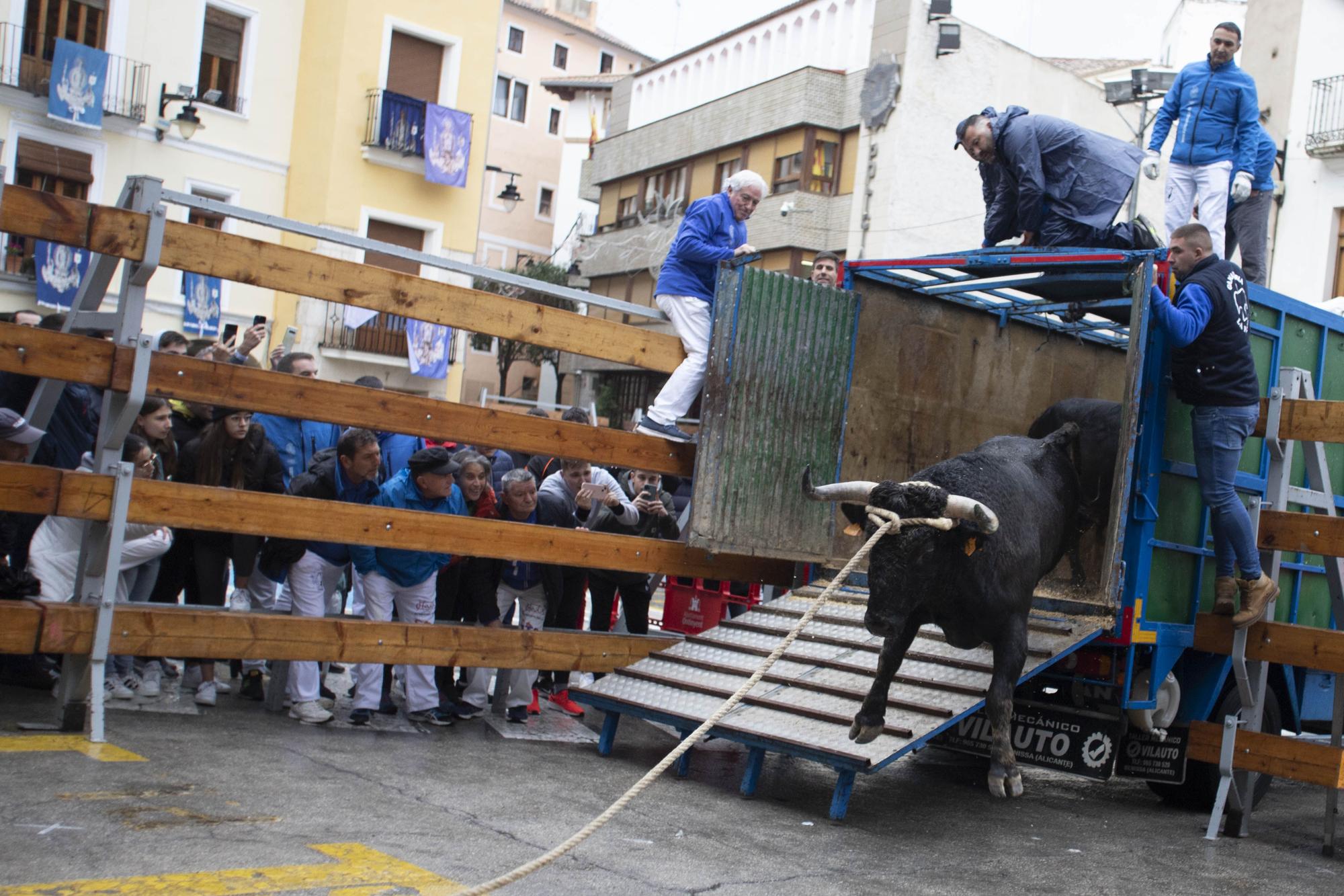 El "Bou en corda" vuelve al Pont Vell de Ontinyent