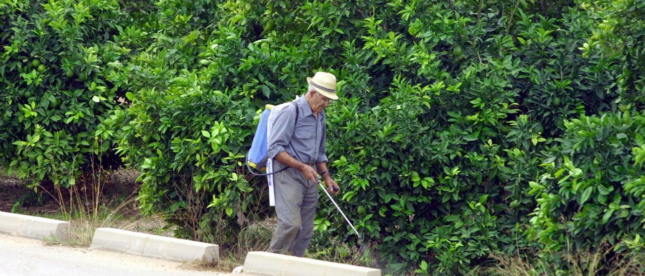 Un agricultor fumiga una finca de cítricos.