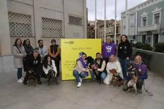 L’Alcora apela a la responsabilidad y conciencia contra el abandono animal