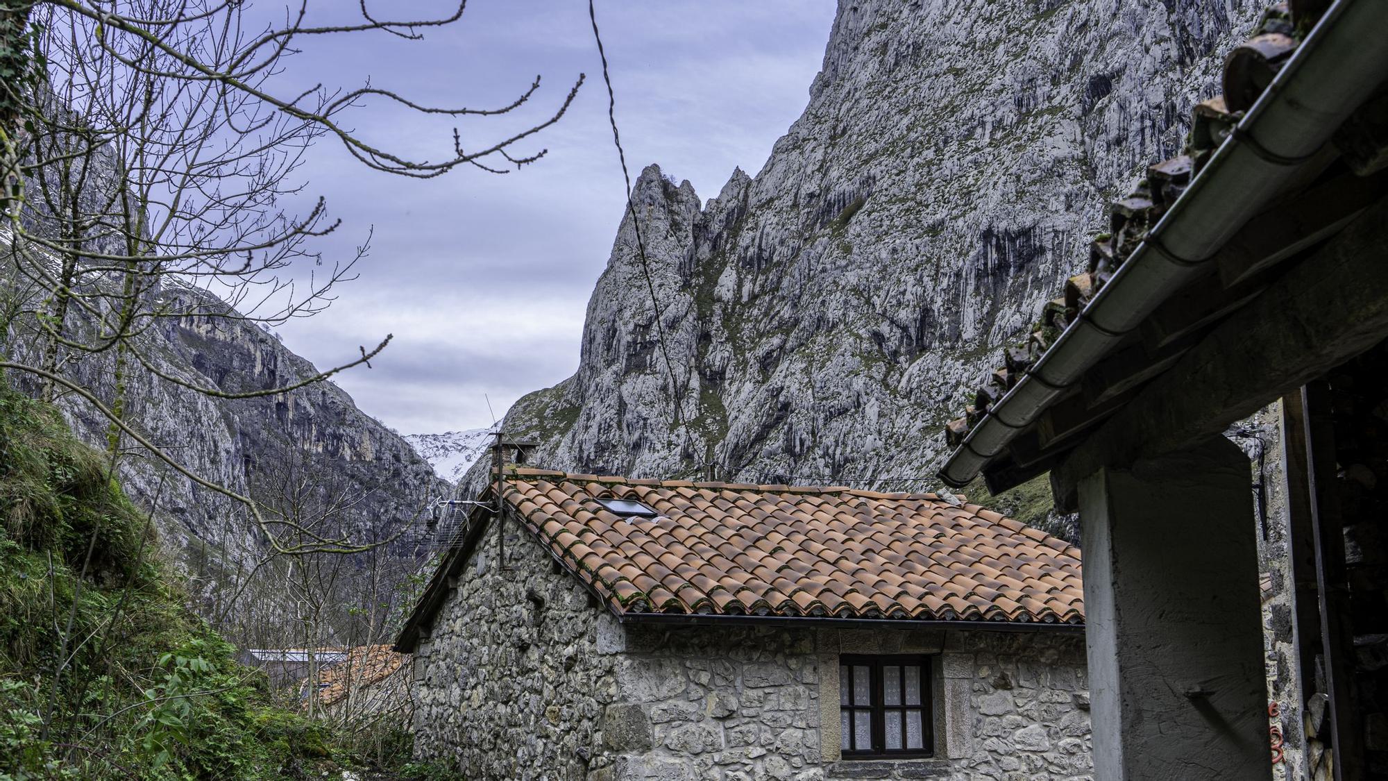 Bulnes