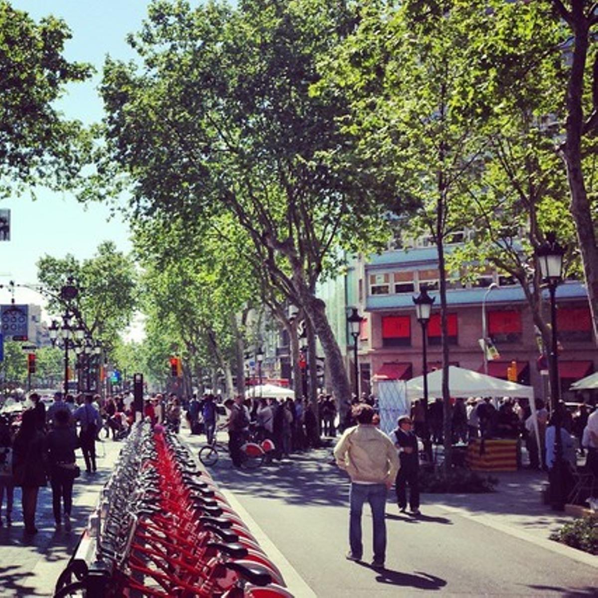 Les fotos de Sant Jordi dels lectors a través de letiqueta #SantJordiEPC