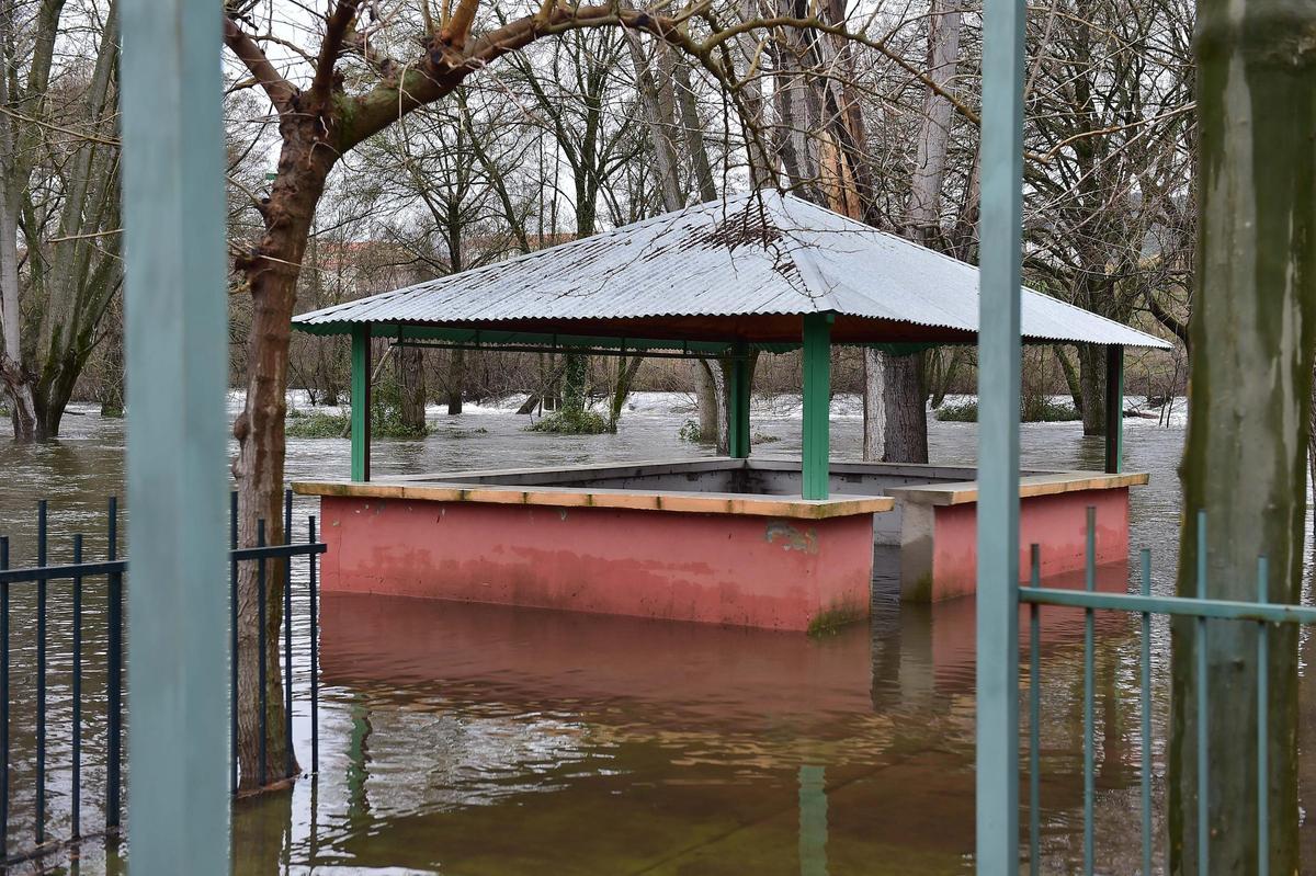 Fotogalería | El río se desborda en La Chopera de Plasencia