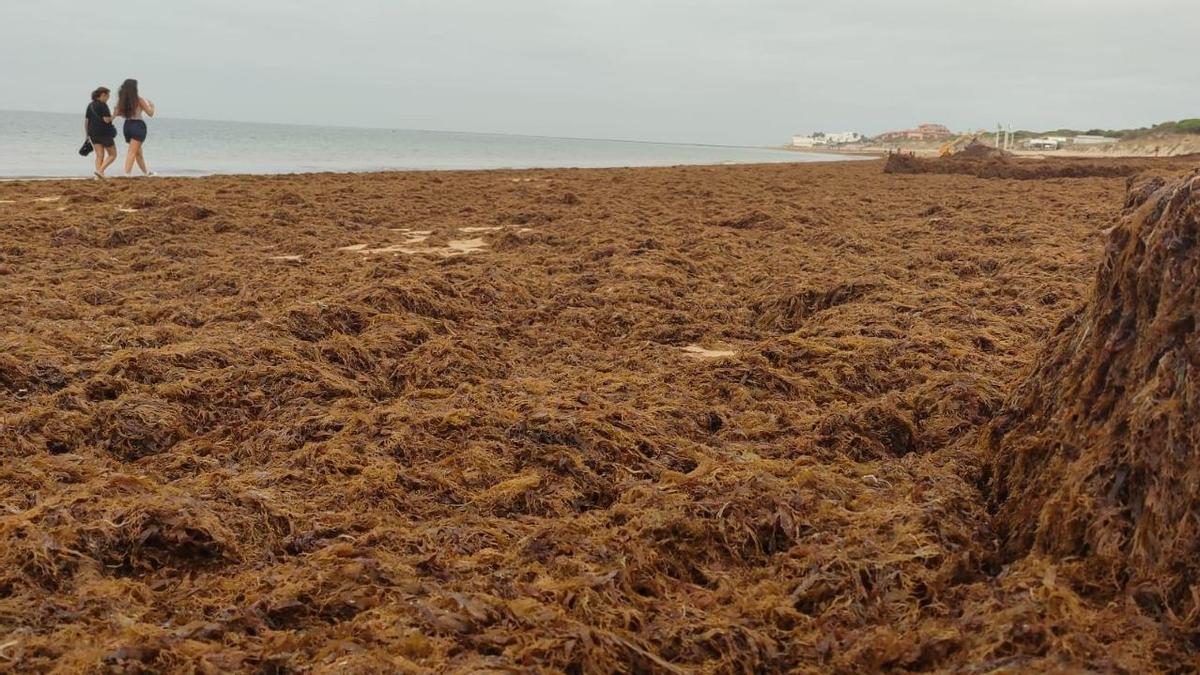 Imagen de una playa de rota en este agosto de 2026 durante el amanecer