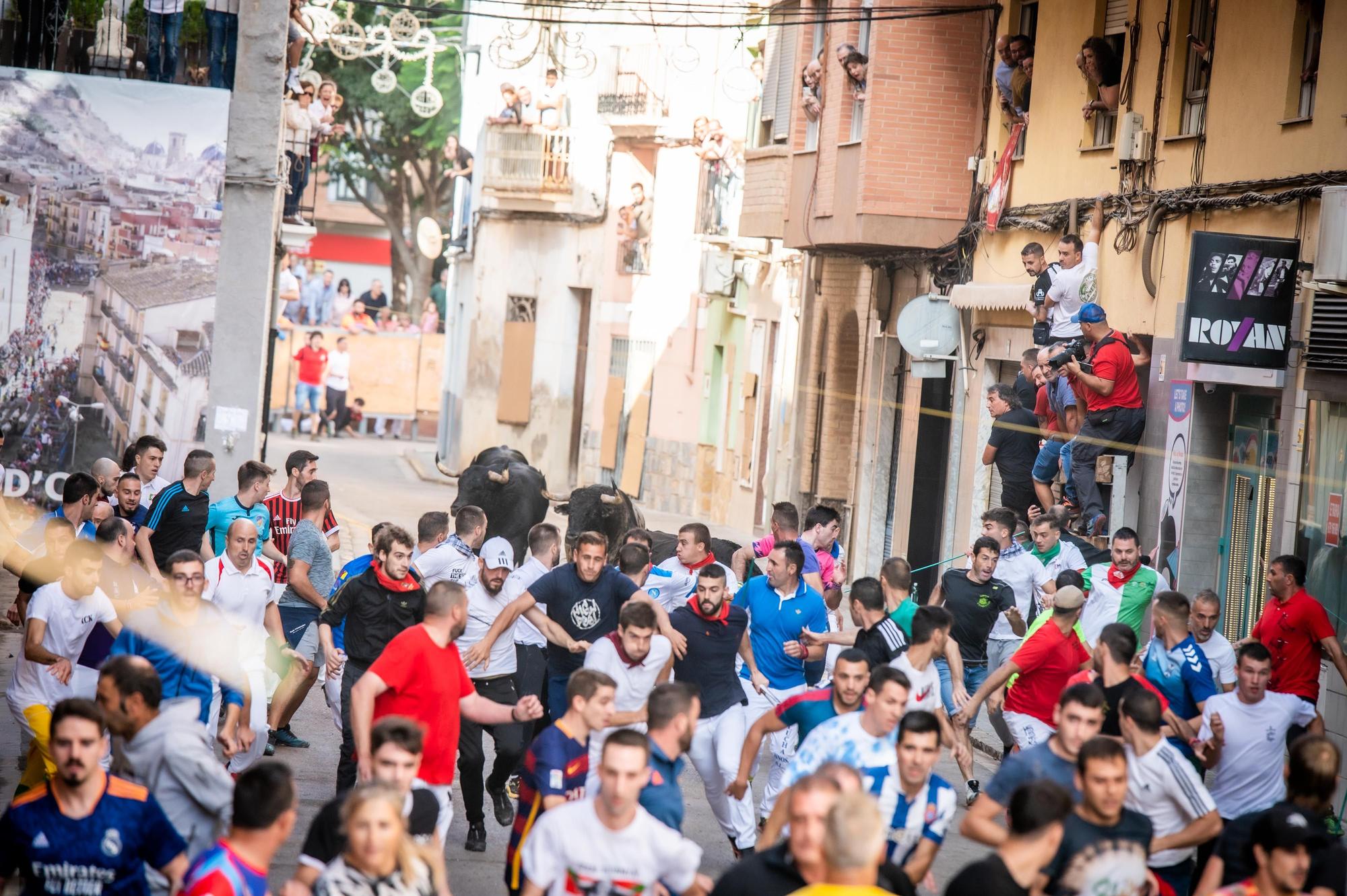 Las mejores imágenes del encierro de Couto de Fornilhos y Santa Teresa en Onda, el segundo de la Fira